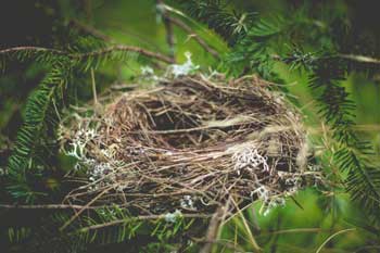 The Hidden Gift of Becoming an Empty Nester