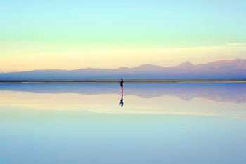 Reflection
